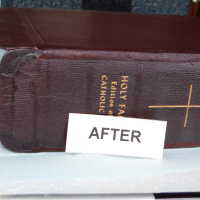          Family Bible picture number 285
