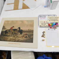          Man on Horseback Chasing a Horse picture number 5
