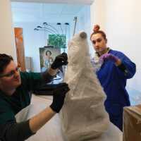          Textile and Tribal Arts Show Rehousing Project picture number 152
