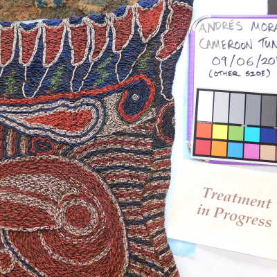 Treatment in Progress