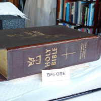          Family Bible picture number 288
