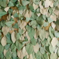          Leaf Capelet picture number 20

