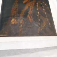 “The Optimist” - Image 69