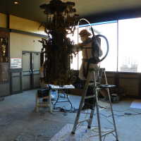          Golden Room picture number 45
