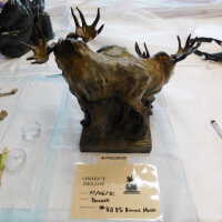          Bronze Mooses picture number 22
