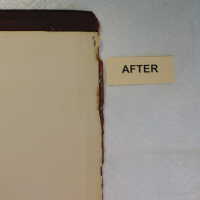          Family Bible picture number 42
