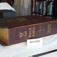          Family Bible picture number 289
