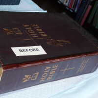          Family Bible picture number 290
