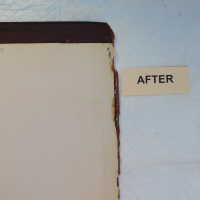          Family Bible picture number 43
