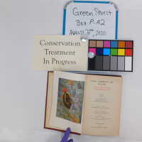          Green Street Books [Boxes: PI1, J2, G2, M1, I2, H1, F2, H2, P2, A2, R1, PA2, S1, PJI, PEE2, D2, K2, PA1, PD2, PL1, PB2, B1, PM1 C1, C2-2, K1, PH2, PL2, L1, Q1, PCC1, B2, G1, PEE1, PB1, PM2] picture number 154
