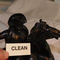          Napoleon picture number 36
