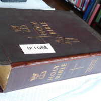          Family Bible picture number 291

