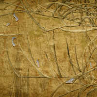          Client: Smith. Item: Japanese Embroidery with Cranes picture number 178
