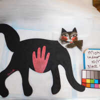          Black cat picture number 2
