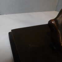          Discus Thrower picture number 59
