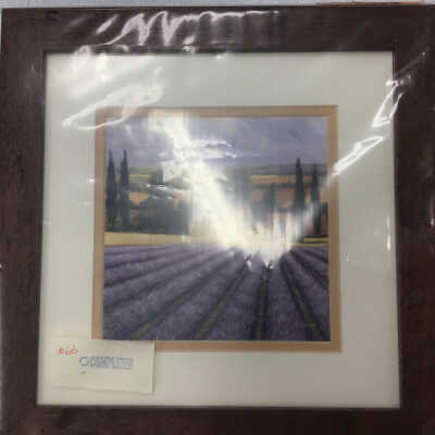Lavender field