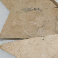          Textile and Tribal Arts Show Rehousing Project picture number 146
