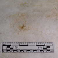          Client: Smith. Item: Japanese Embroidery with Cranes picture number 251
