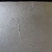          Japanese Screen picture number 316
