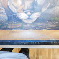          Crouched puma picture number 12
