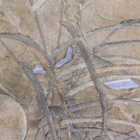          Client: Smith. Item: Japanese Embroidery with Cranes picture number 152
