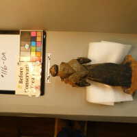          Santos Figure picture number 2
