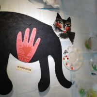          Black cat picture number 23
