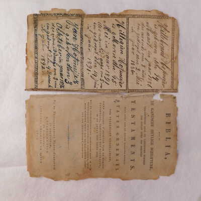 Before treatment: The third and forth loose leaves (front side)