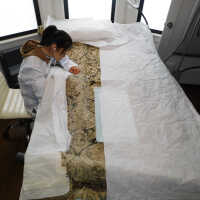          Drapery picture number 48
