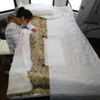          Wen picture number 43
