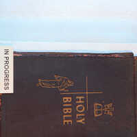          Family Bible picture number 211
