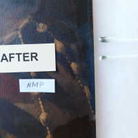 “The Optimist” - Image 125