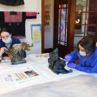          Pair of Gorillas picture number 20
