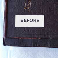          Family Bible picture number 292

