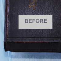          Family Bible picture number 293
