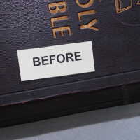          Family Bible picture number 294
