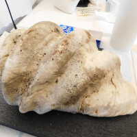          Shell picture number 44
