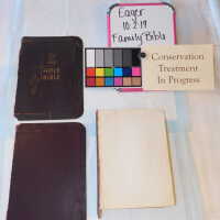          Family Bible picture number 145
