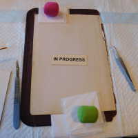          Family Bible picture number 146
