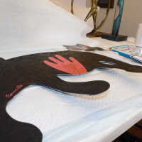          Black cat picture number 3
