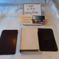          Family Bible picture number 151
