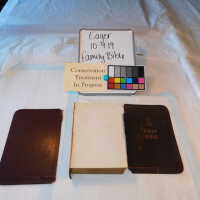          Family Bible picture number 152
