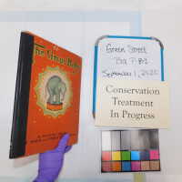          Green Street Books [Boxes: PI1, J2, G2, M1, I2, H1, F2, H2, P2, A2, R1, PA2, S1, PJI, PEE2, D2, K2, PA1, PD2, PL1, PB2, B1, PM1 C1, C2-2, K1, PH2, PL2, L1, Q1, PCC1, B2, G1, PEE1, PB1, PM2] picture number 295
