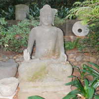          Big Buddha picture number 4
