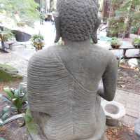          Big Buddha picture number 7
