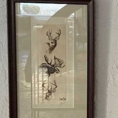 Muley, Moose, and Whitetail