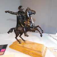          Napoleon picture number 13
