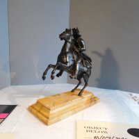          Napoleon picture number 20
