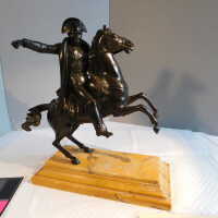          Napoleon picture number 23
