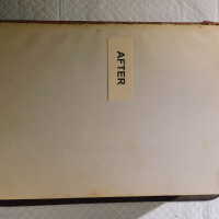          Family Bible picture number 110
